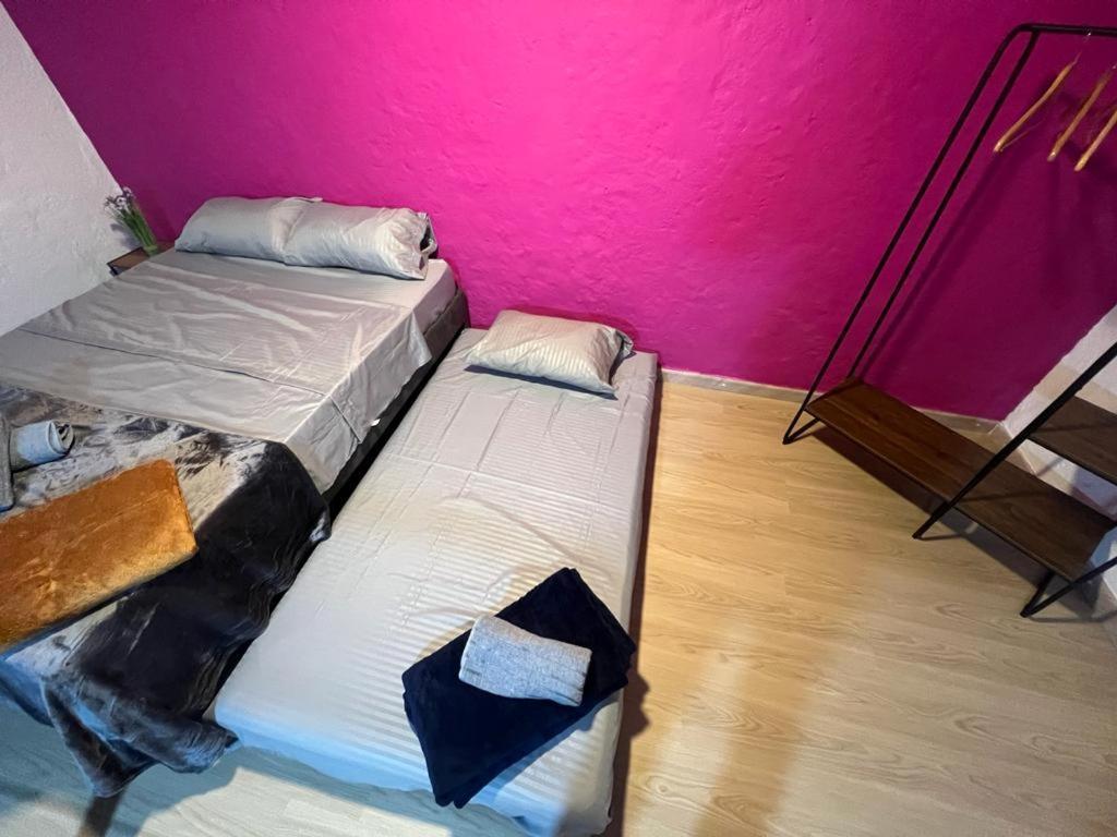Apartaestudios Las Astromelias Salento Dış mekan fotoğraf