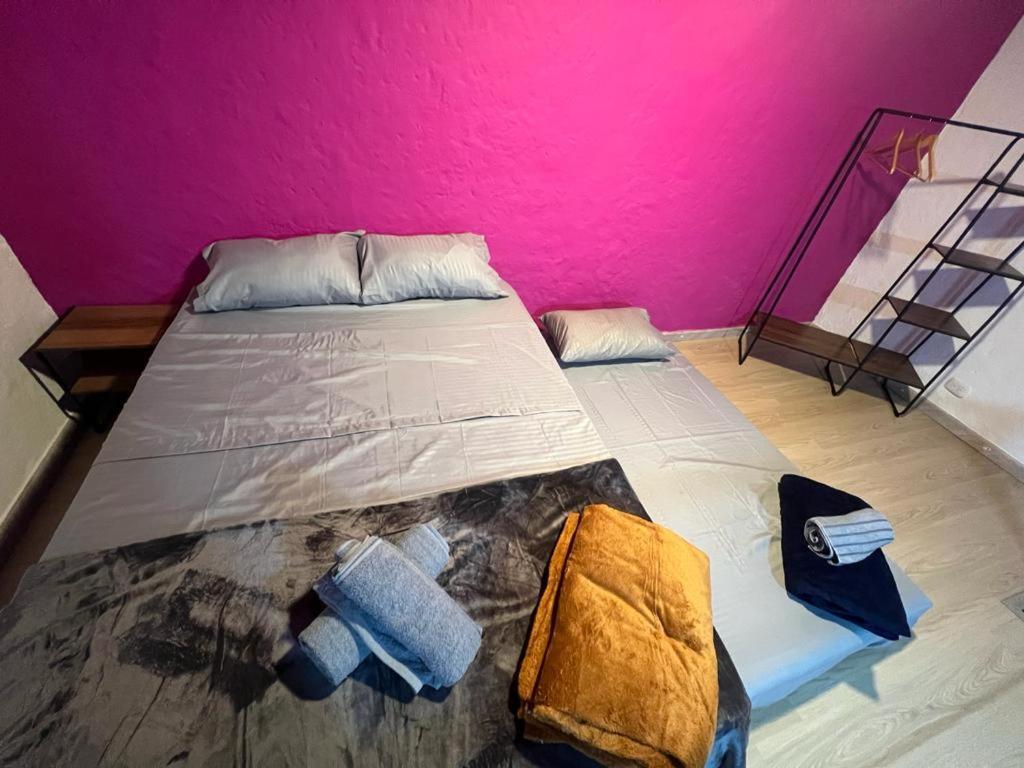 Apartaestudios Las Astromelias Salento Dış mekan fotoğraf