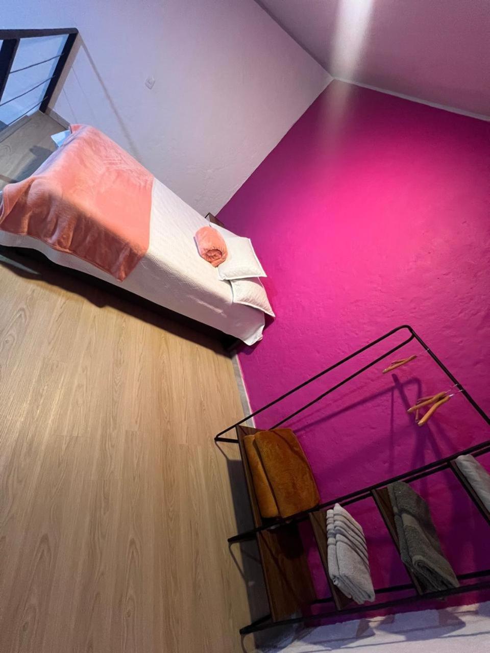 Apartaestudios Las Astromelias Salento Dış mekan fotoğraf